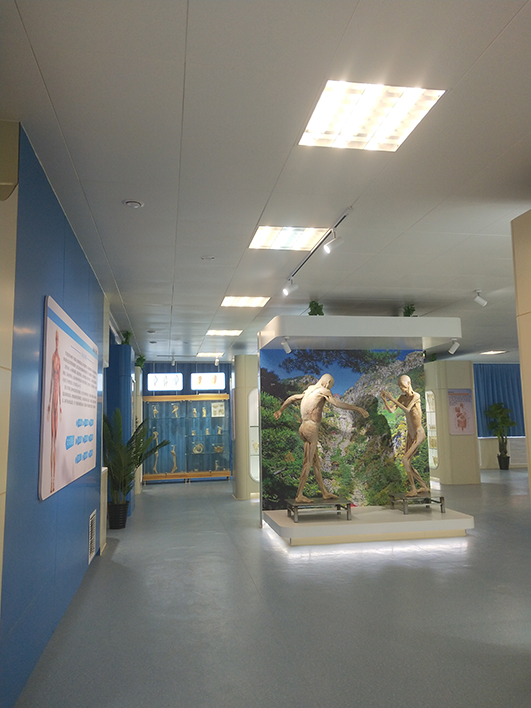 山東第一醫(yī)科大學