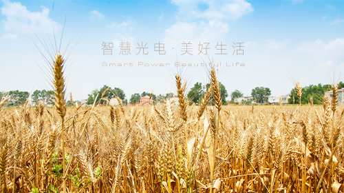 我國首部能源法正式問世、國家能源局/工信部最新通知、?支持企業(yè)引進光伏技術(shù)、虛擬電廠全電量參與現(xiàn)貨電能量交易出清…… - 拷貝