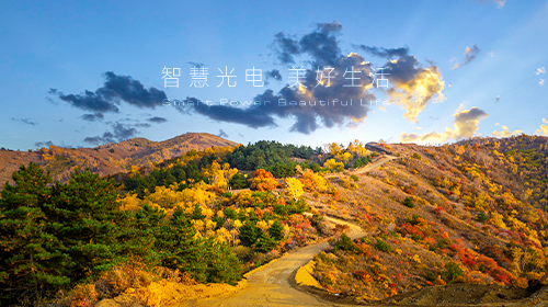 十二部門發(fā)布重要方案、國(guó)家能源局發(fā)布能源和綠證數(shù)據(jù)、廣東省發(fā)布虛擬電廠參與電力市場(chǎng)交易實(shí)施方案……