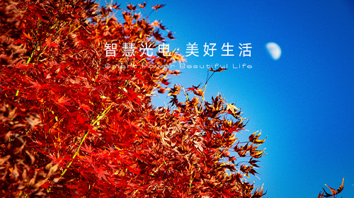 國(guó)家能源局發(fā)布指導(dǎo)意見(jiàn)和新批次名單、國(guó)家統(tǒng)計(jì)局解讀11月份CPI和PPI數(shù)據(jù)、?新一輪儲(chǔ)能政策頒布……